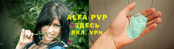 ПСИЛОЦИБИНОВЫЕ ГРИБЫ Краснослободск